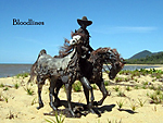 Bloodlines driftwood horse equestrian sculpture by australian cairns artist jennie scott